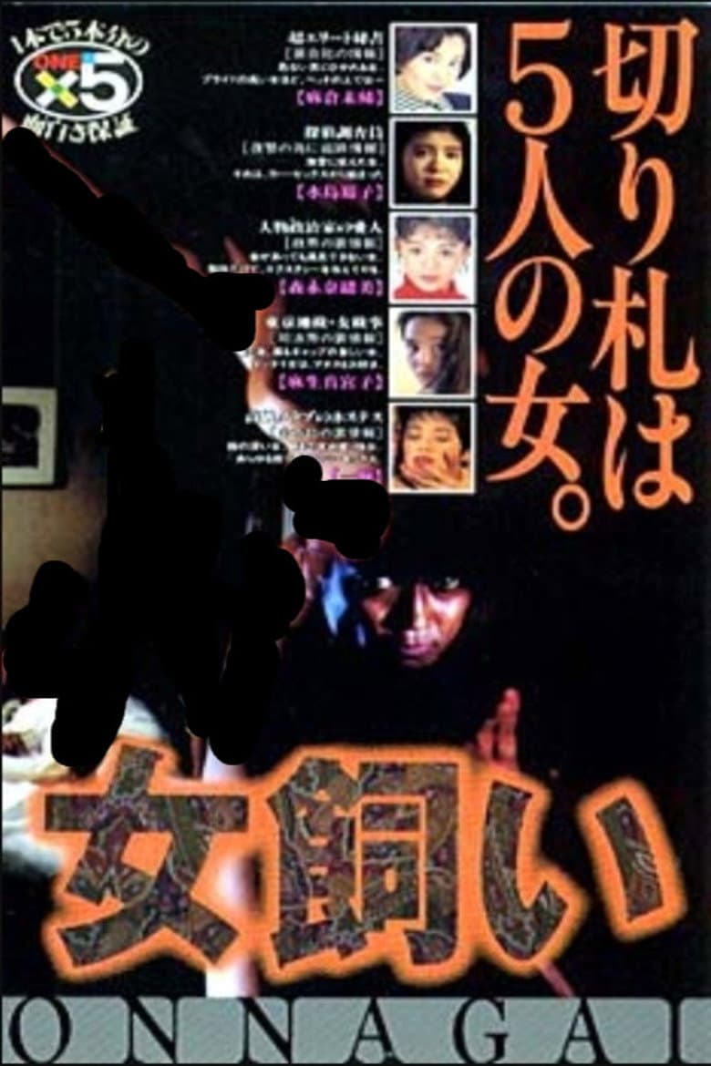 The Woman Tamer poster