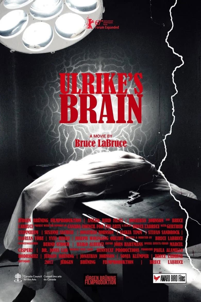 Ulrike's Brain poster