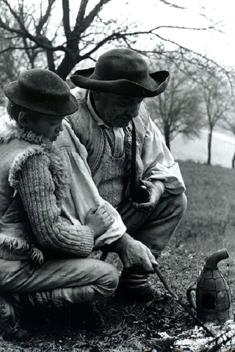 Starý včelár poster