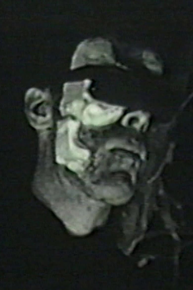 Birdheart Pie poster