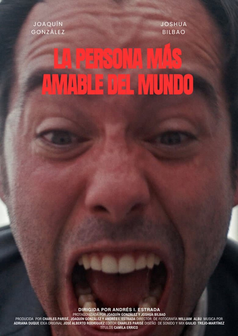 The Nicest Person in the World poster
