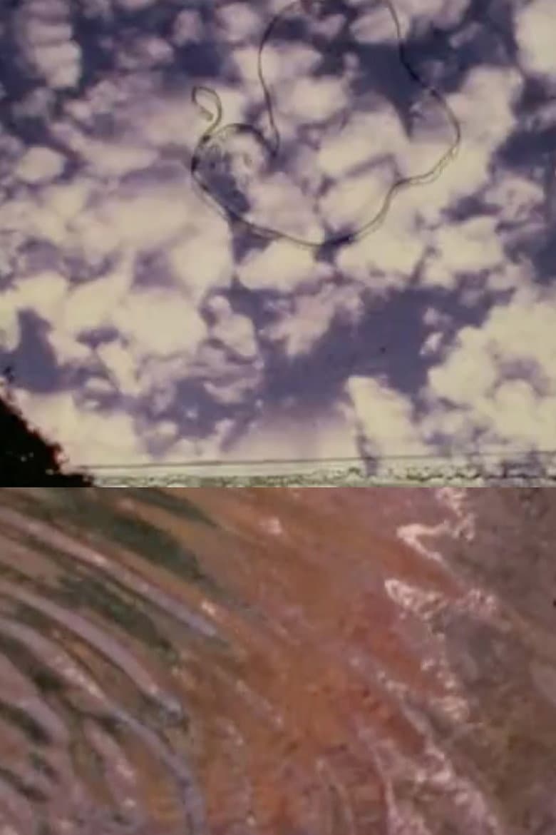 The Cosmos in Mike Smith’s Pond poster