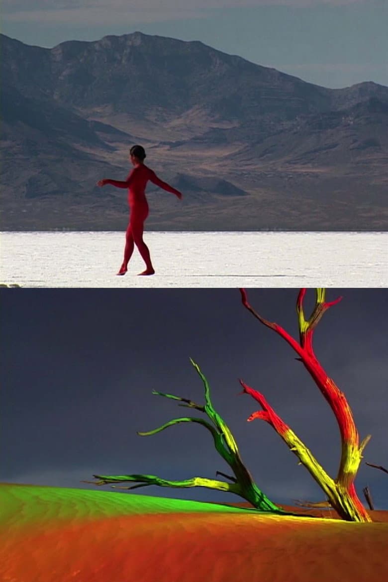 bodies of the desert poster
