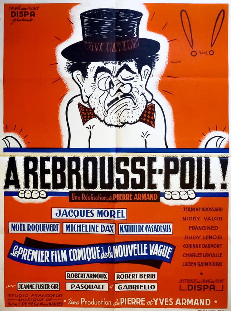 À rebrousse-poil poster