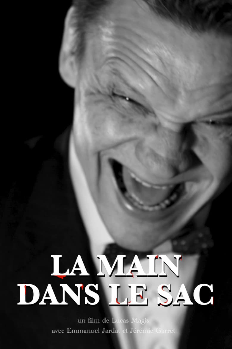 La Main dans le sac poster