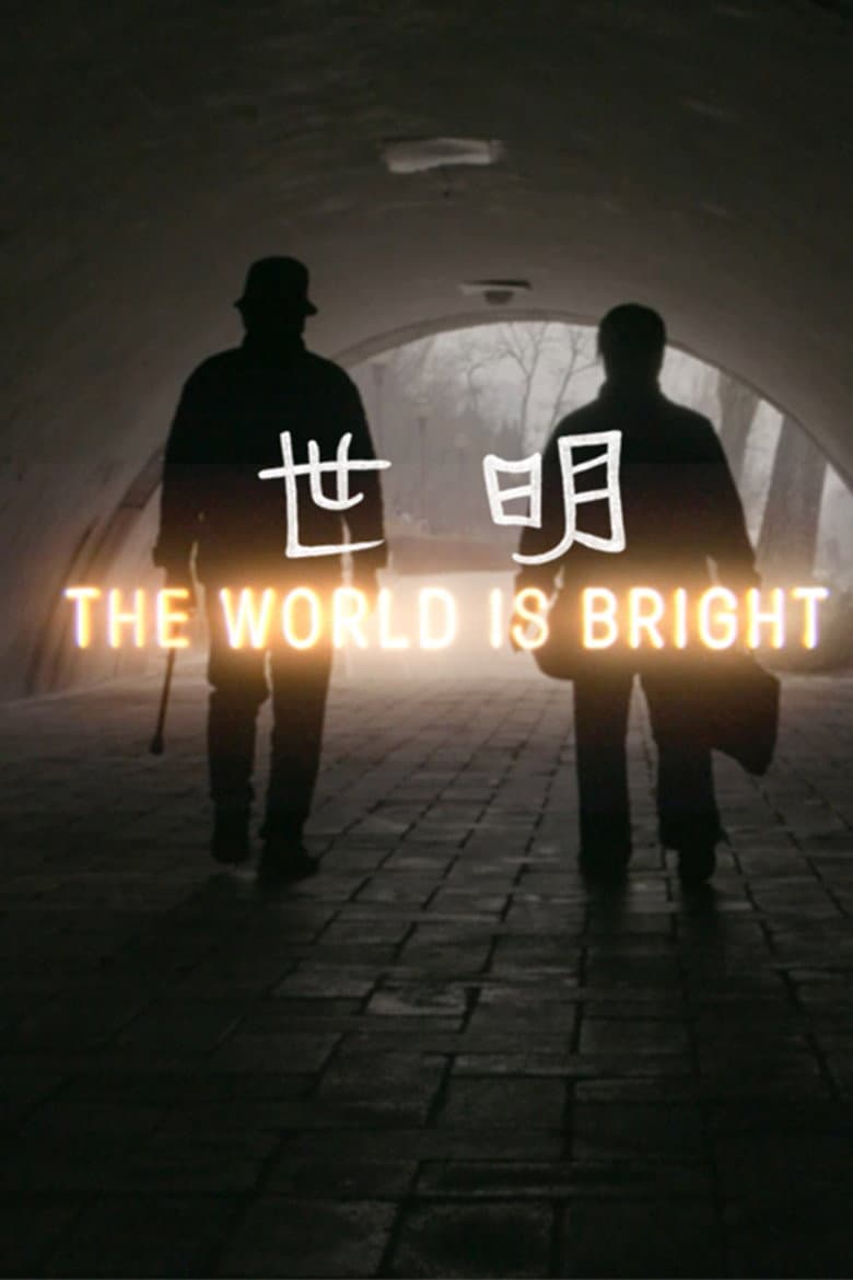 The World Is Bright poster