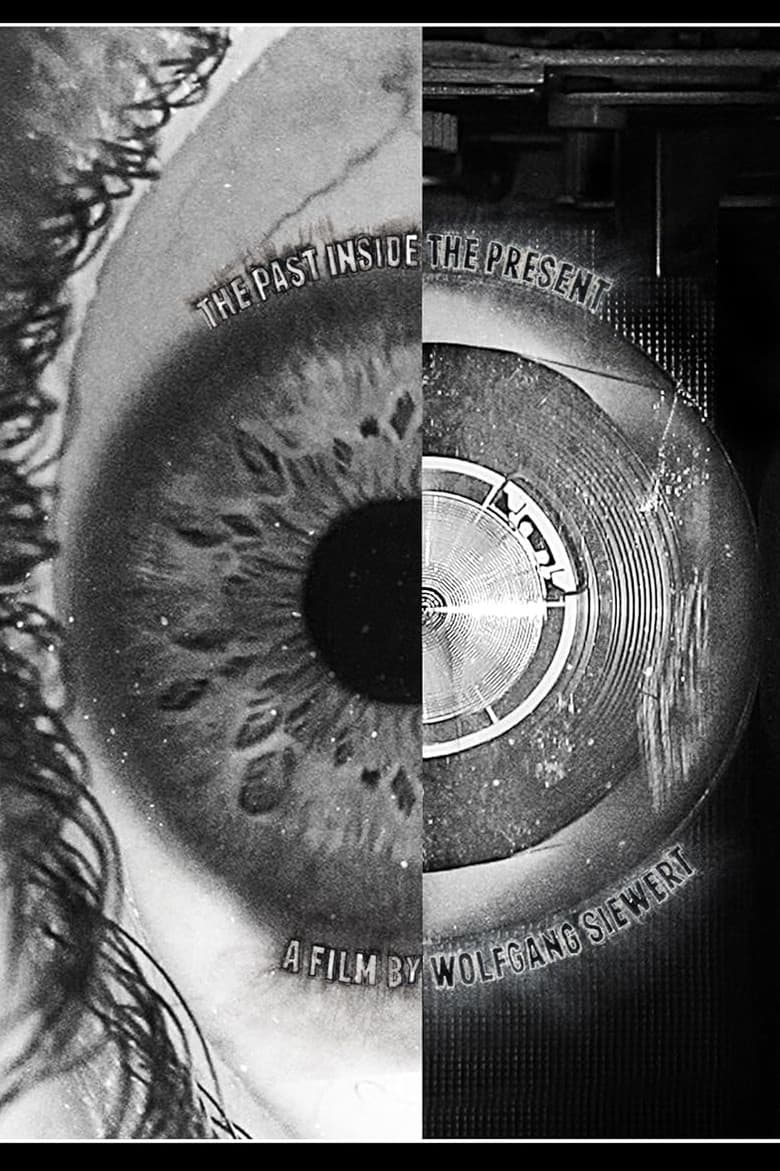 The Past Inside The Present poster