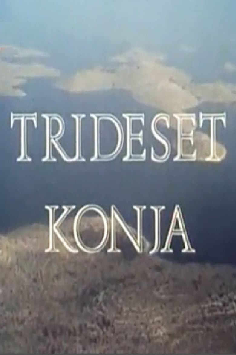 Thirty Horses poster