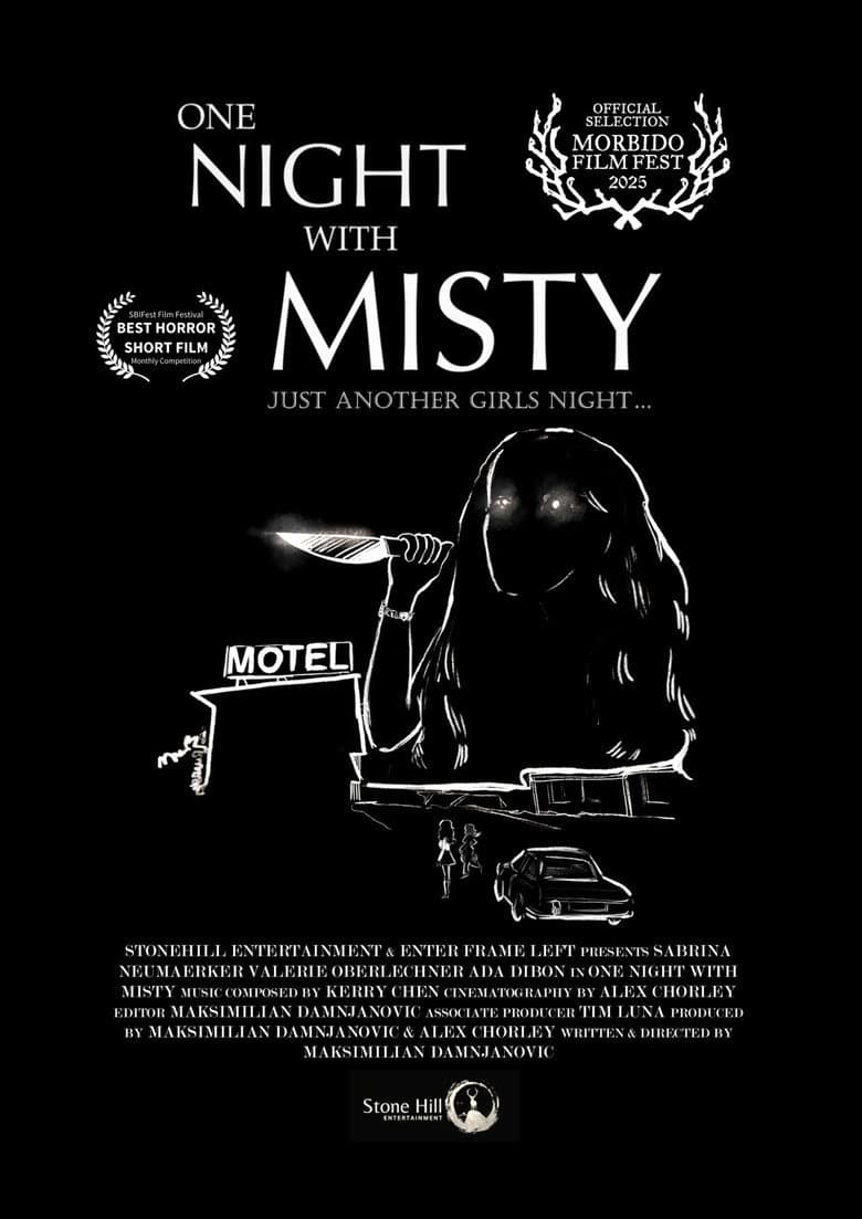 One Night with Misty poster