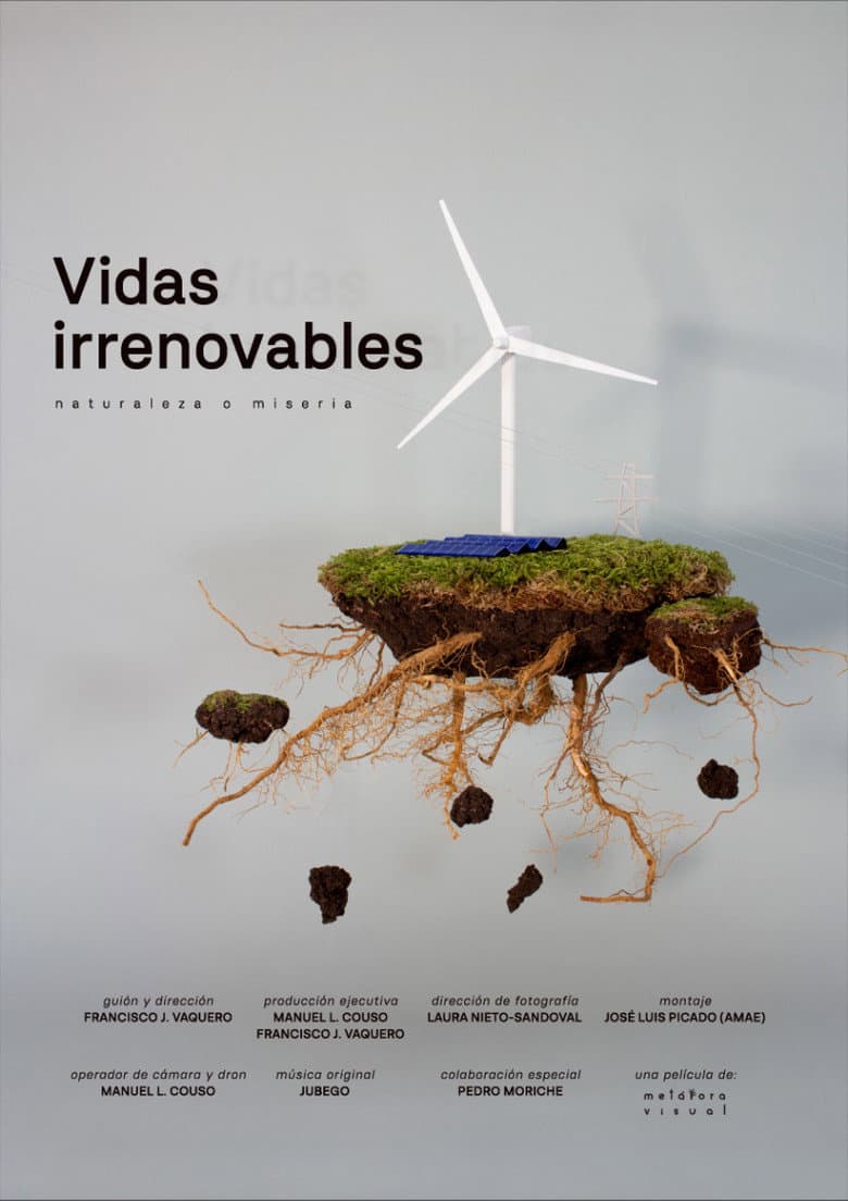 Vidas Irrenovables poster