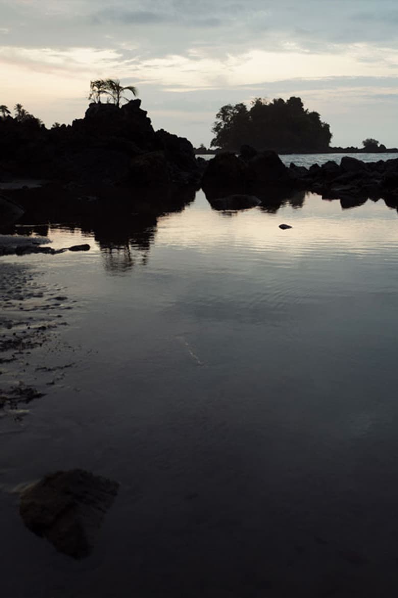 Memoria, Boy at Sea poster