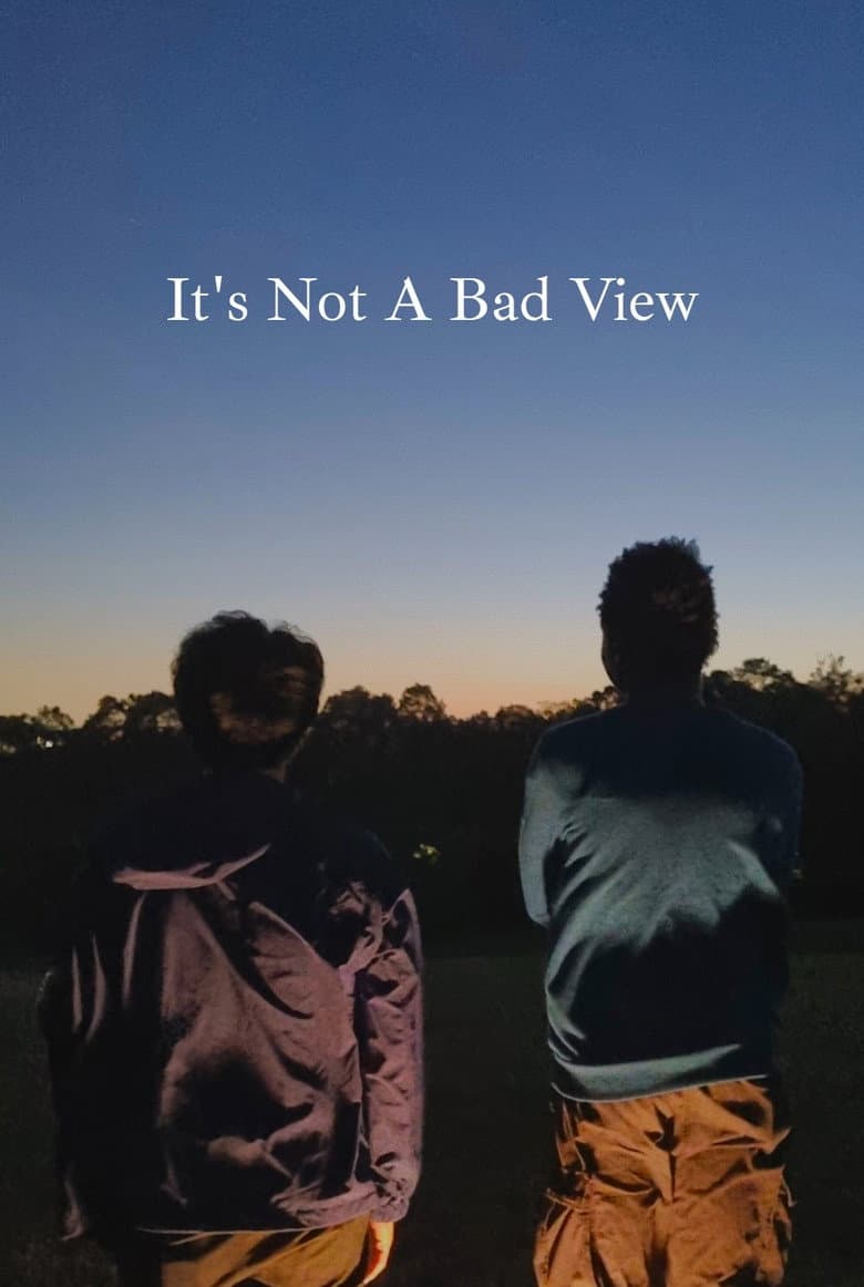 It's Not A Bad View poster
