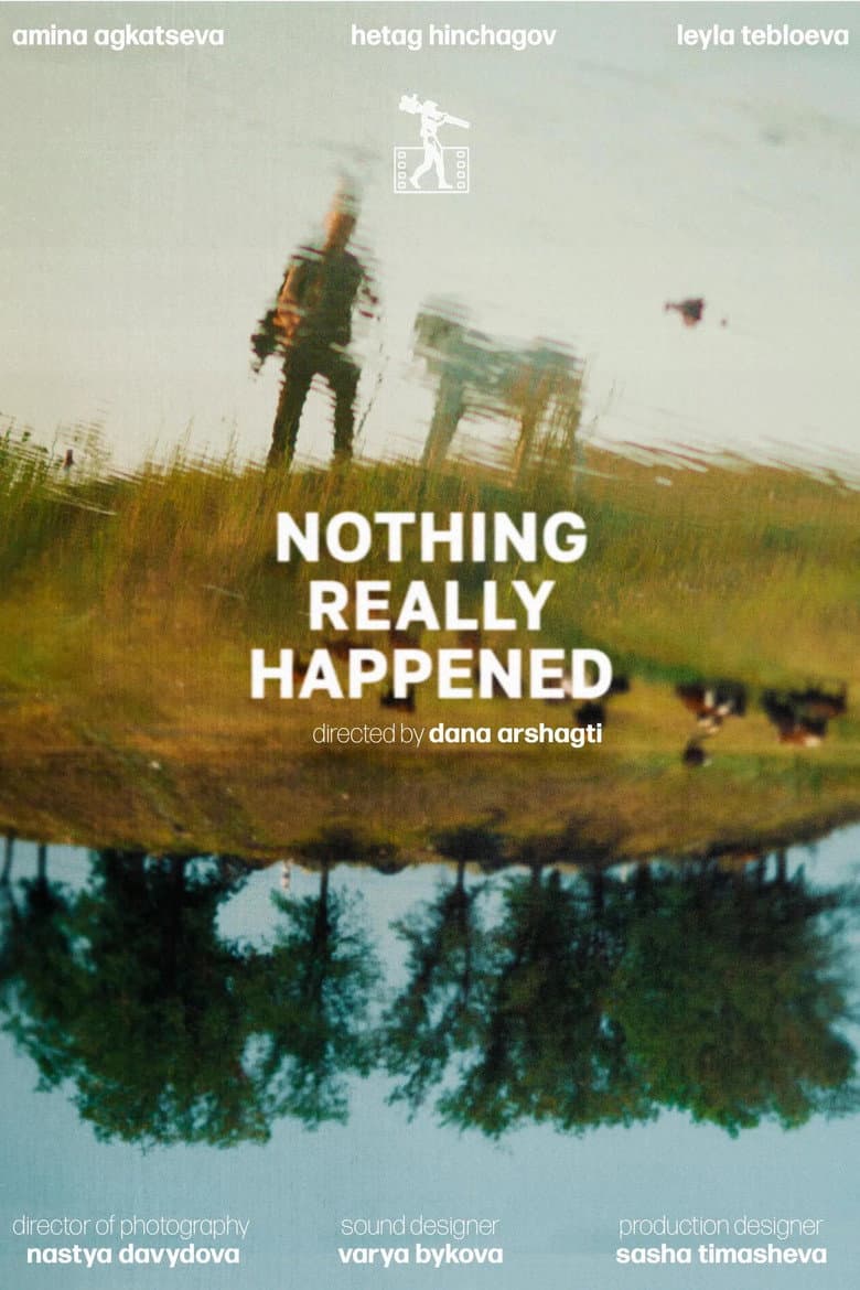 Nothing Really Happened poster