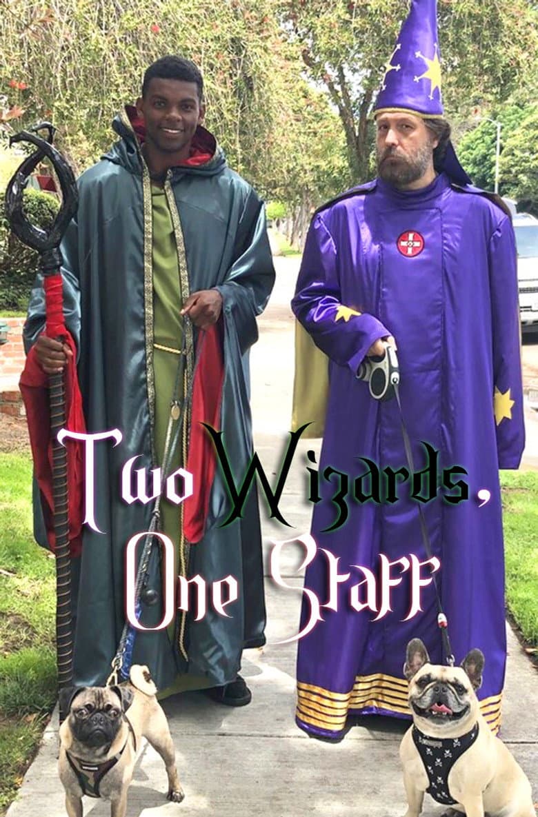 Two Wizards, One Staff poster