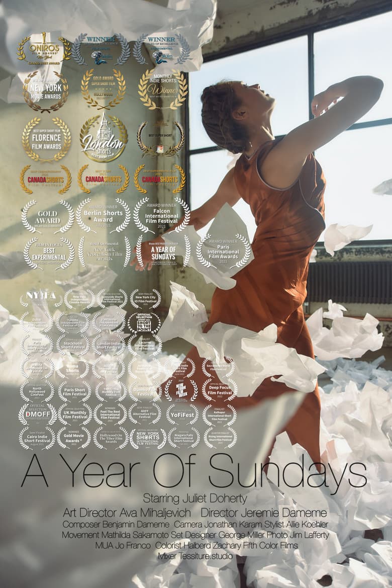 A Year of Sundays poster
