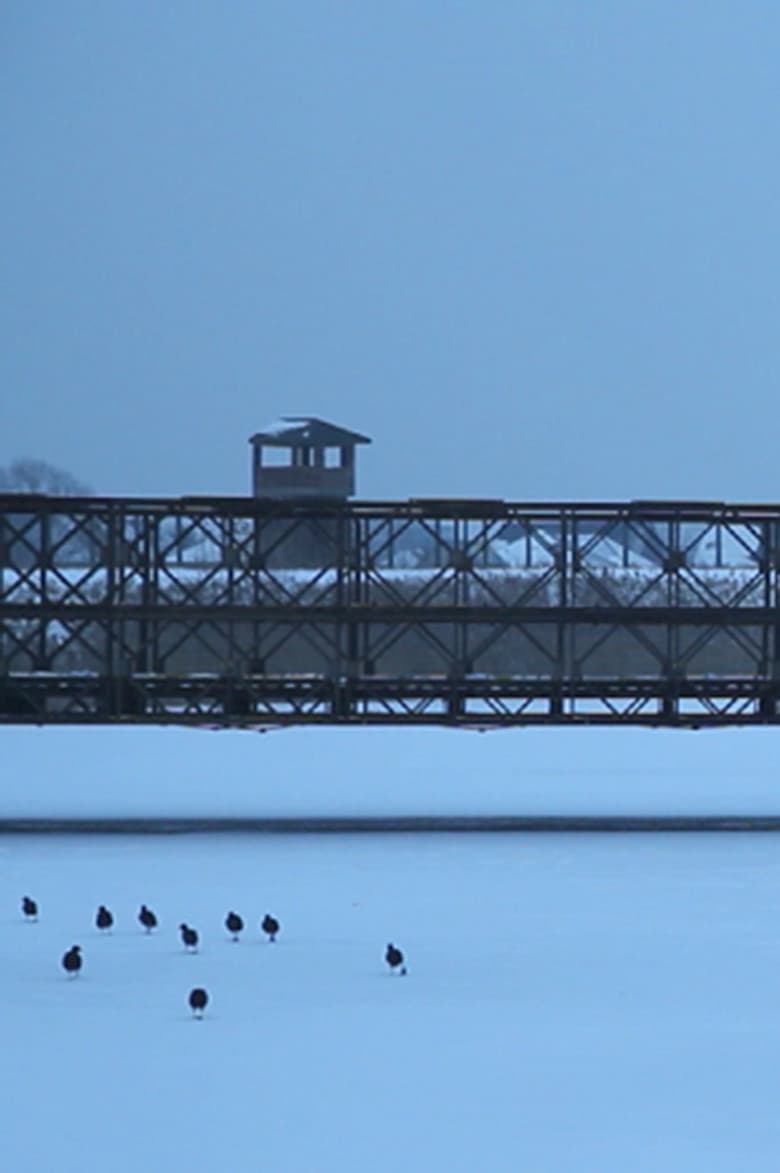 Ejercicio 3: Documental poster