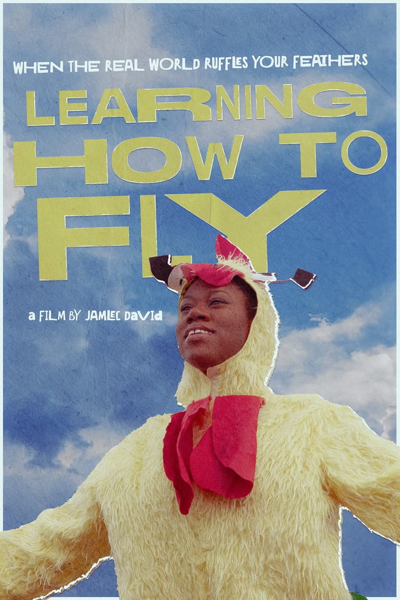 Learning How To Fly poster