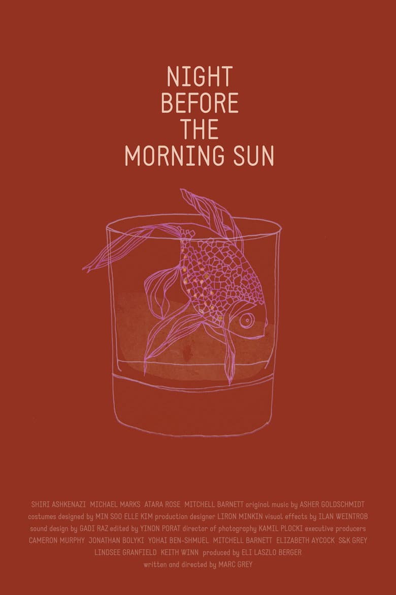 Night Before the Morning Sun poster