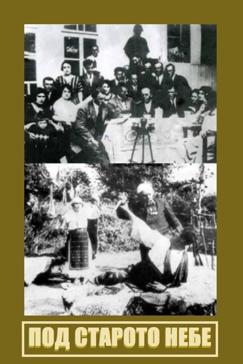 Under the Old Sky poster