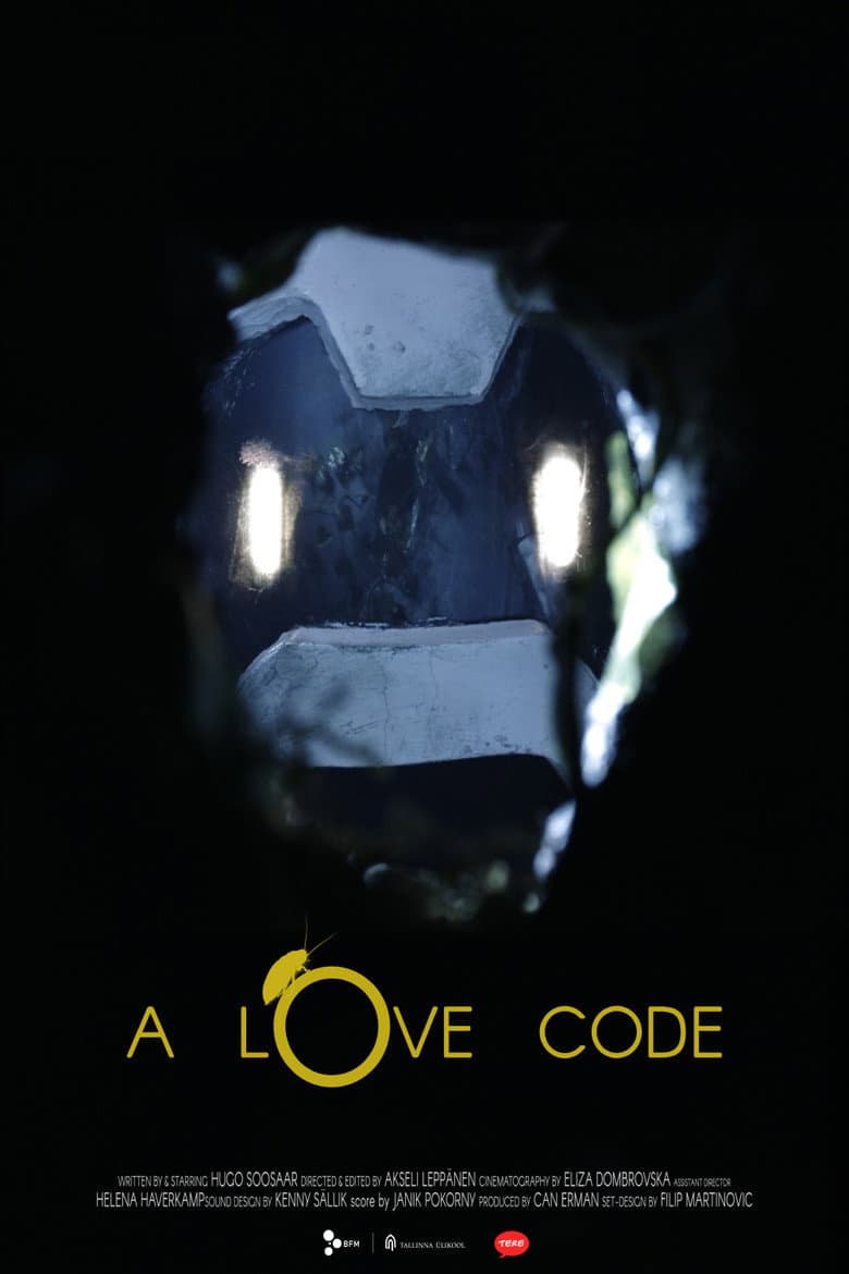 A Love Code poster