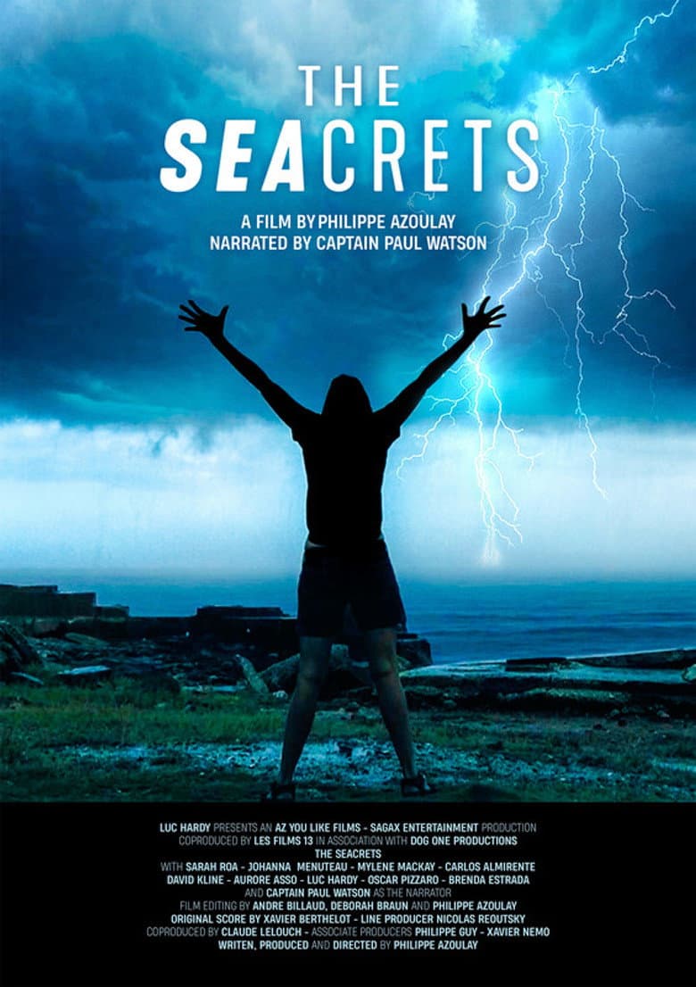 The Seacrets poster