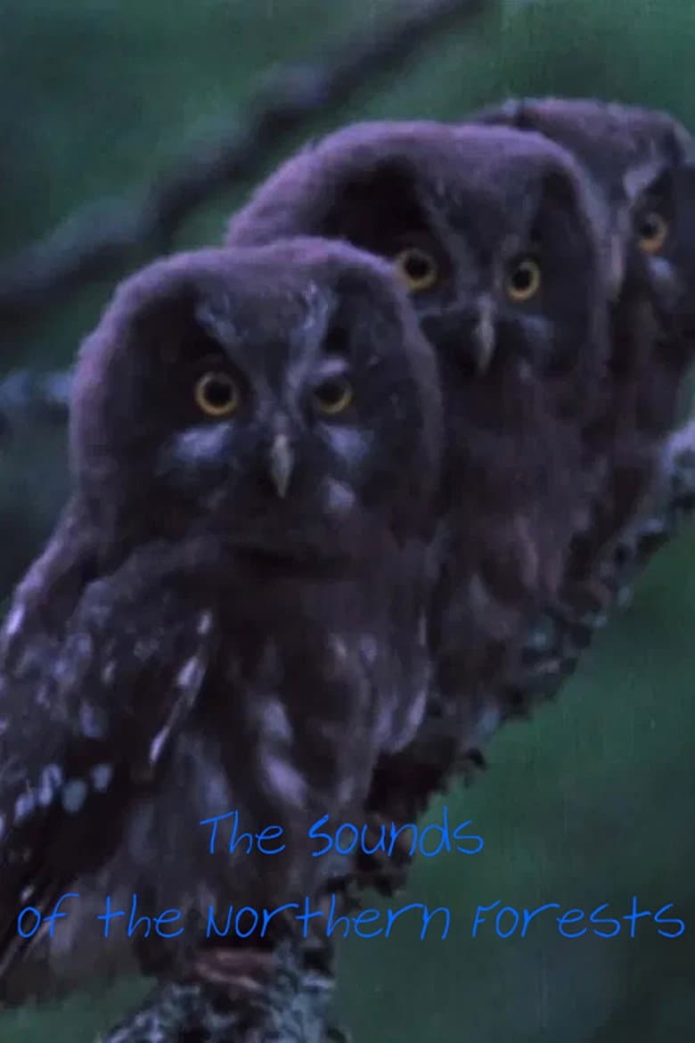 The Sounds of the Northern Forests poster