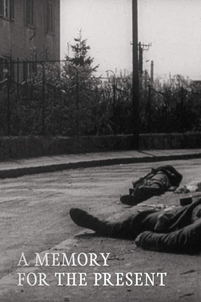 A Memory for the Present poster