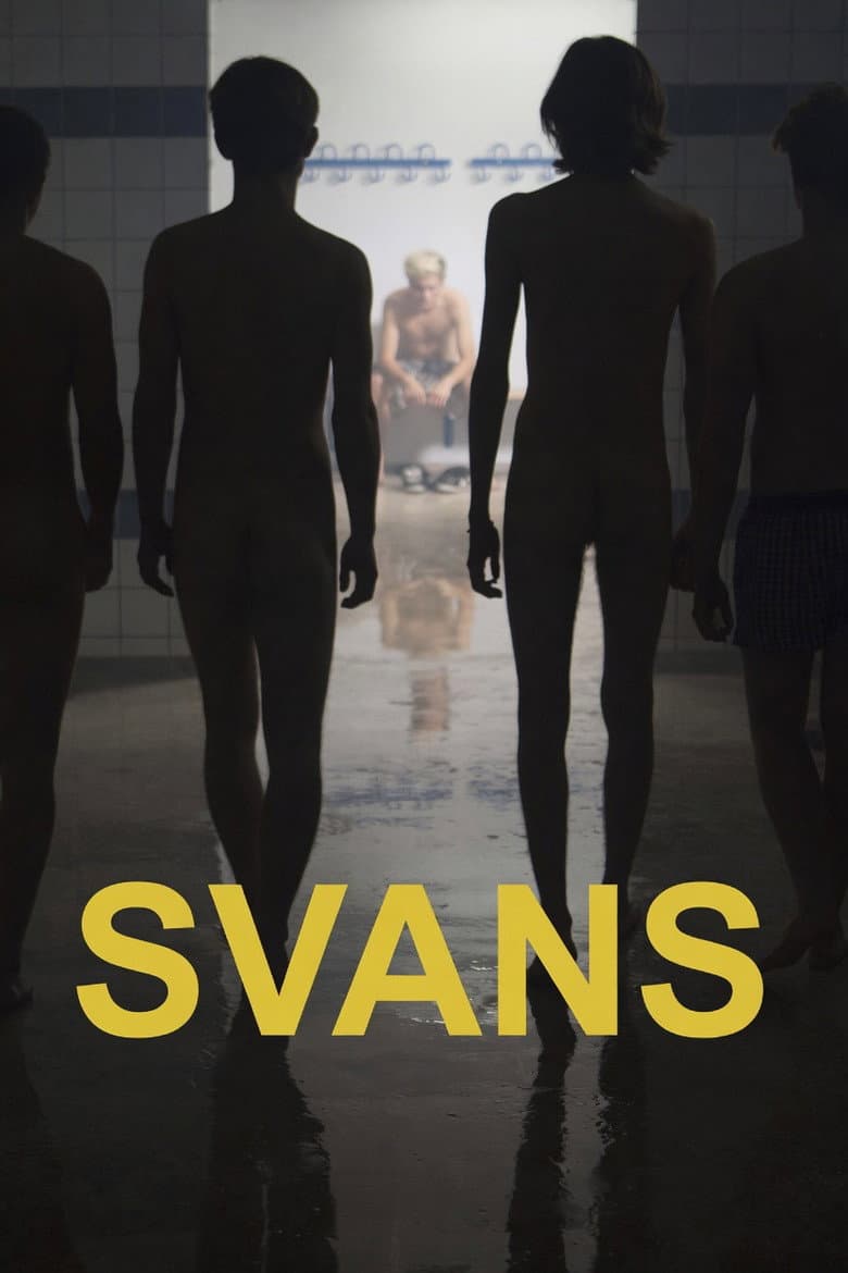 Swans poster