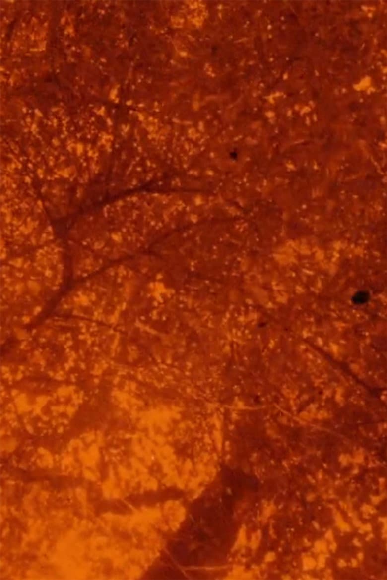 See Beneath the Static poster