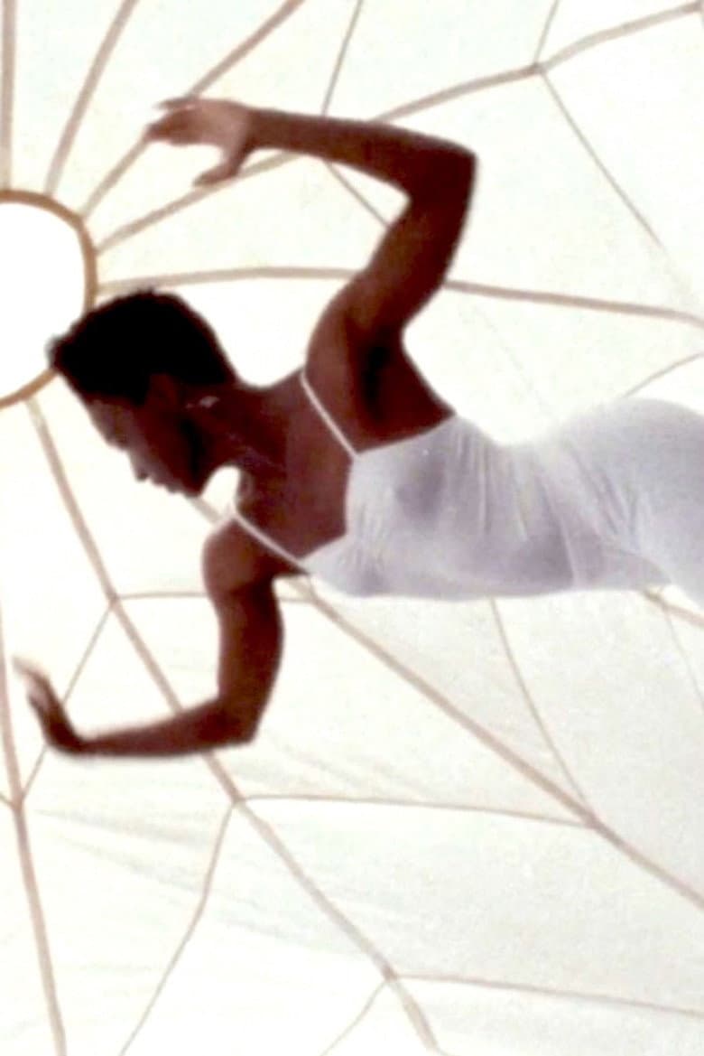 Dreams of Passion poster