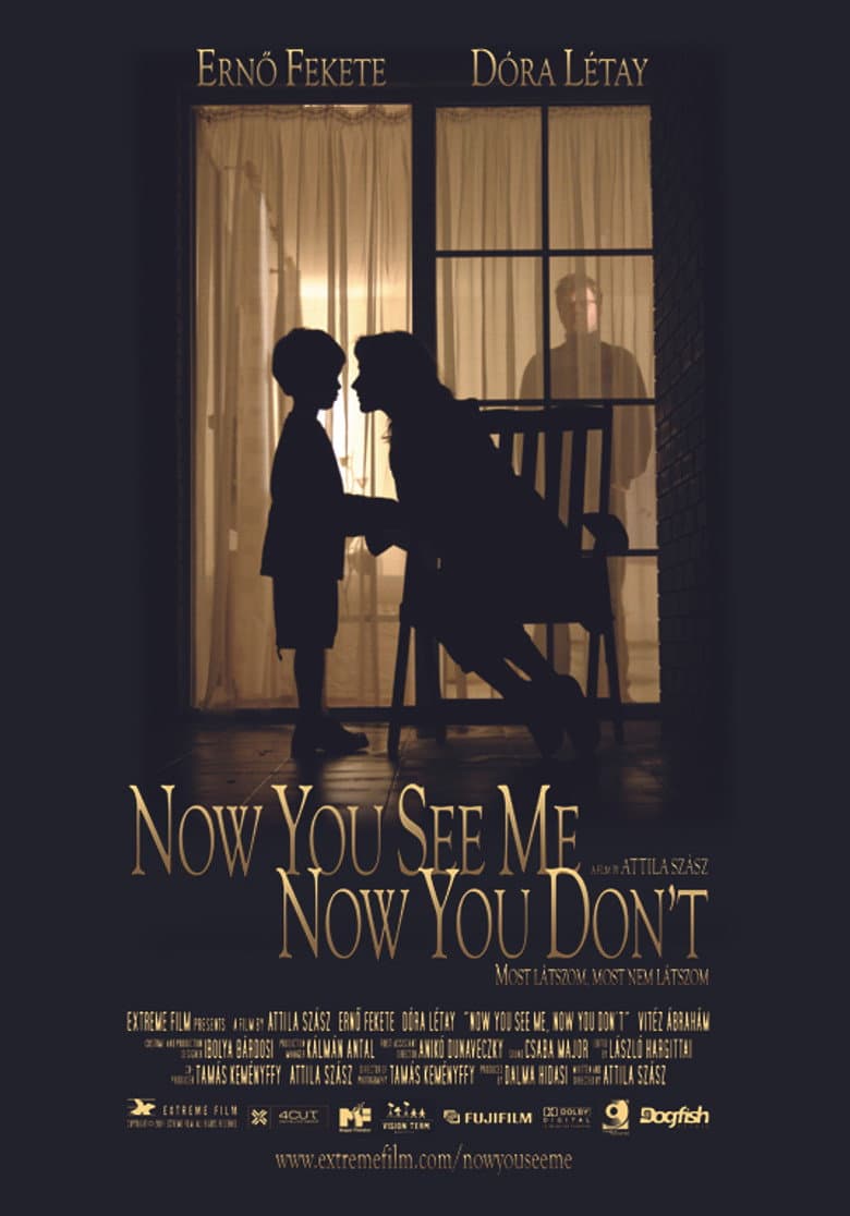 Now You See Me, Now You Don't poster