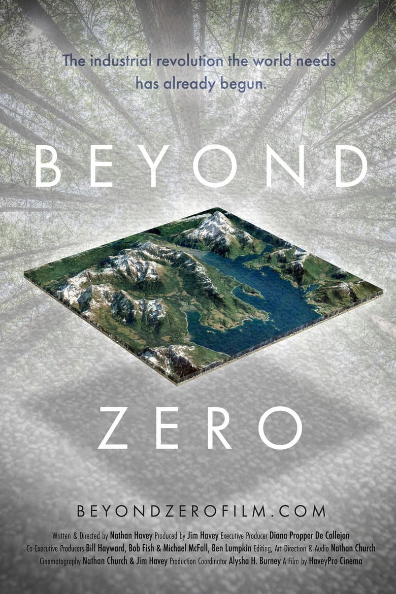 Beyond Zero poster