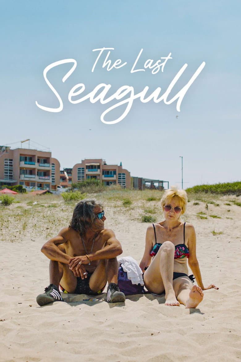 The Last Seagull poster