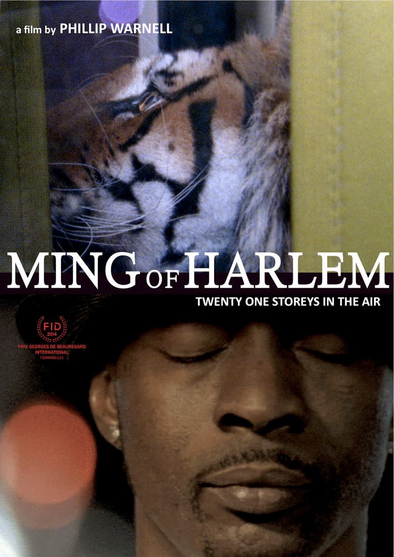 Ming of Harlem: Twenty One Storeys in the Air poster