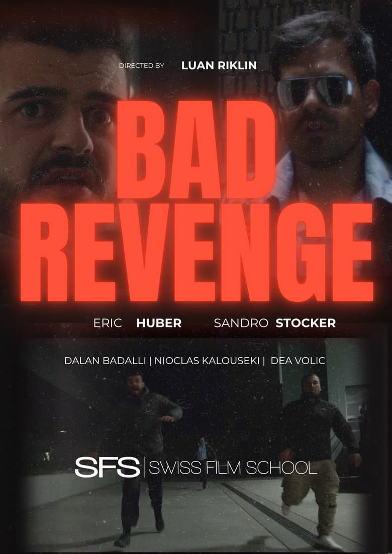 Bad Revenge poster