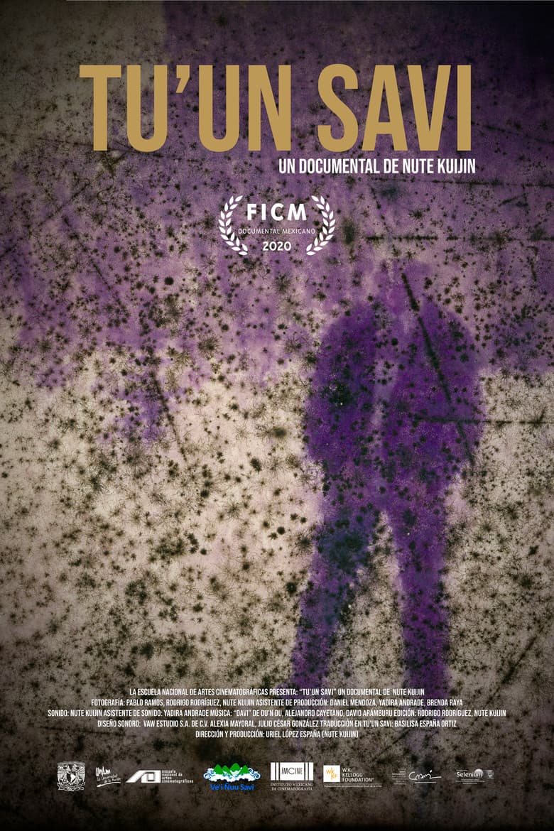 Language of the rain poster