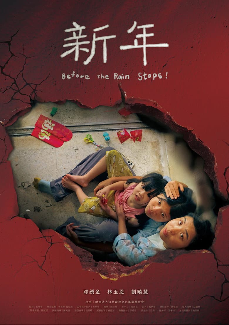 Before The Rain Stops poster