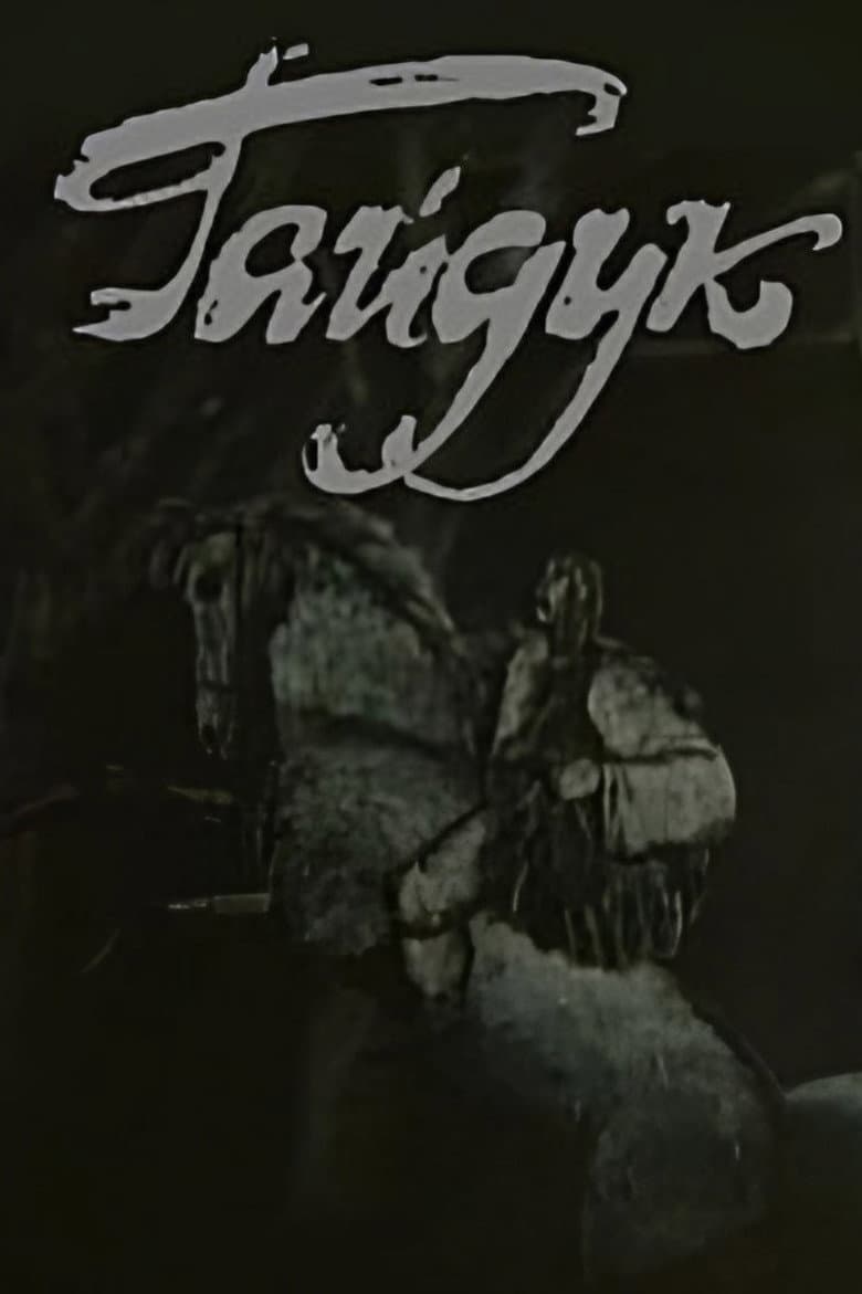 Heiduque poster