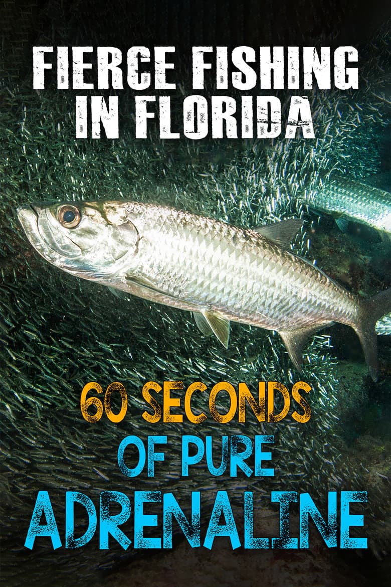 Fierce Fishing in Florida: 60 Seconds of Pure Adrenaline poster