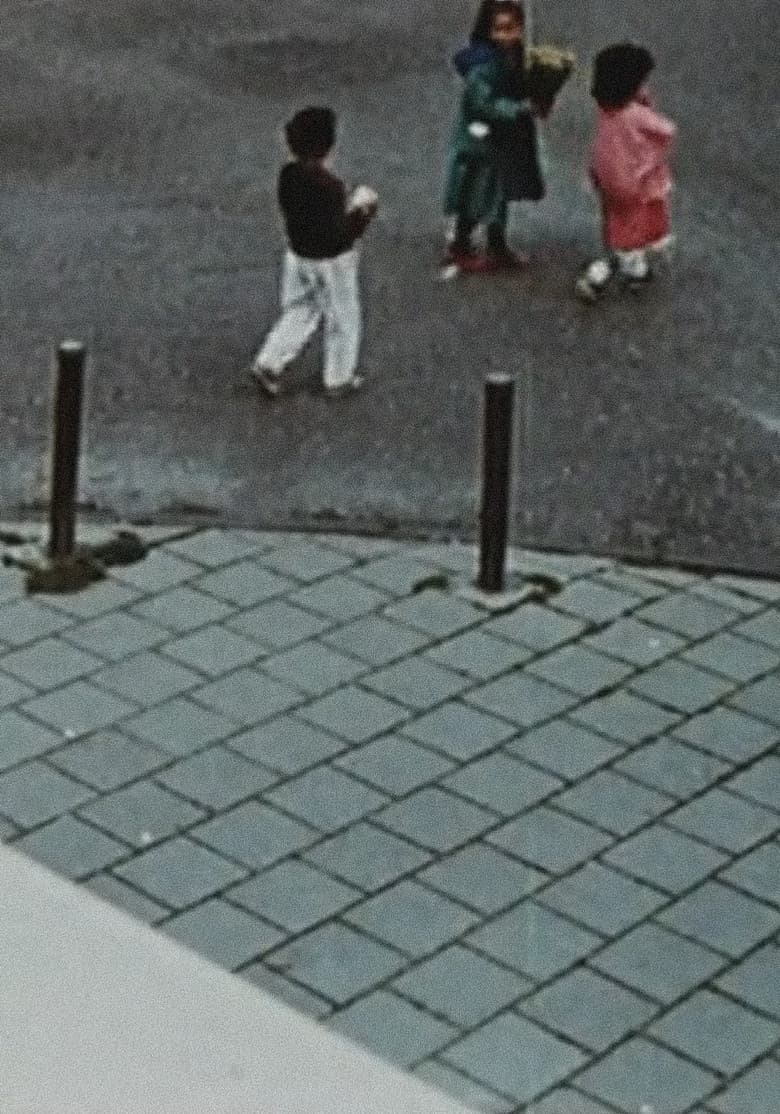 Andante Ma Non Troppo poster