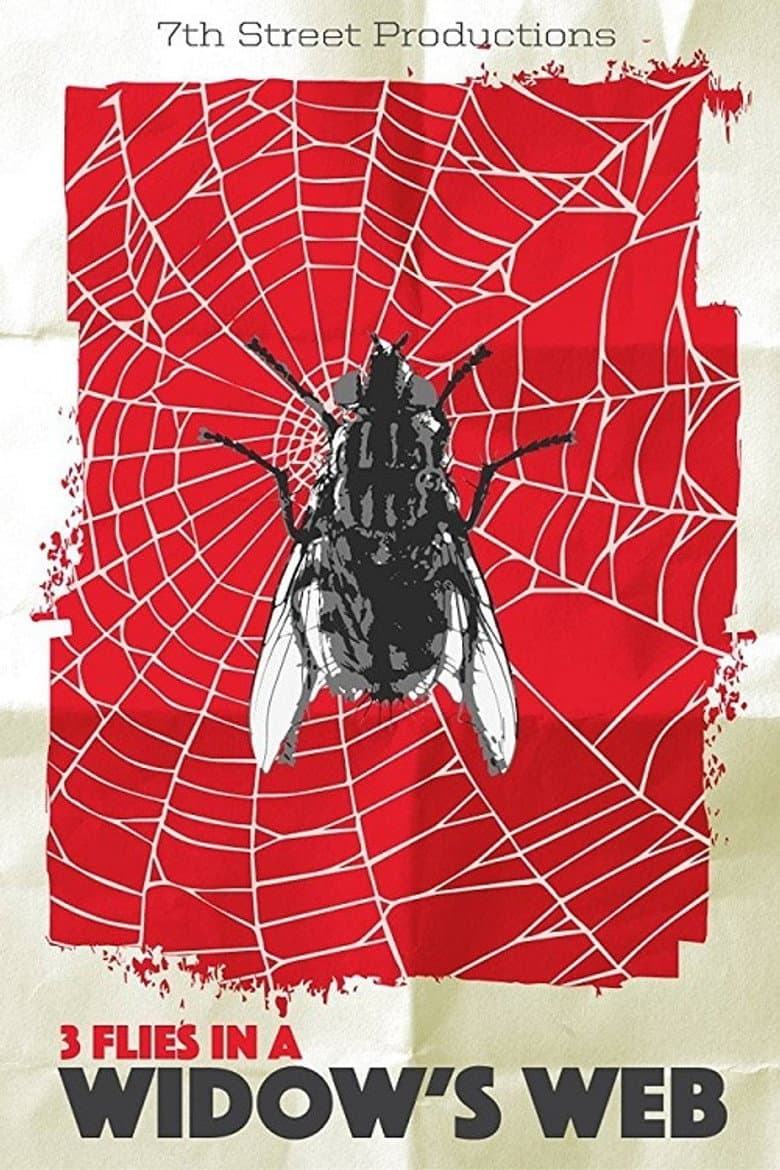3 Flies in a Widow's Web poster