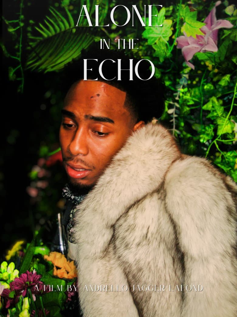 Alone in the Echo poster