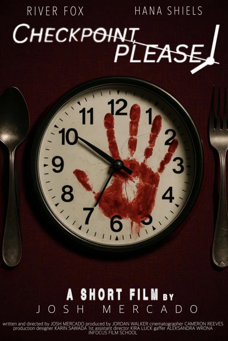Checkpoint, Please! poster