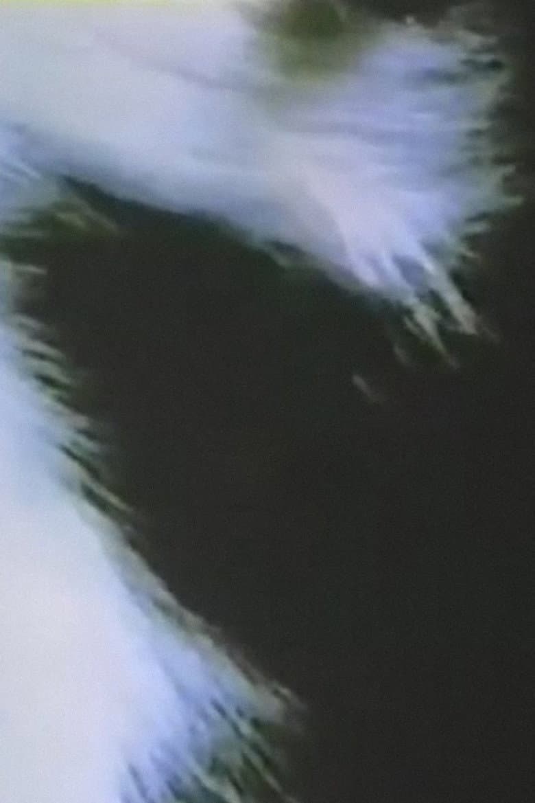 Summer Solstice poster