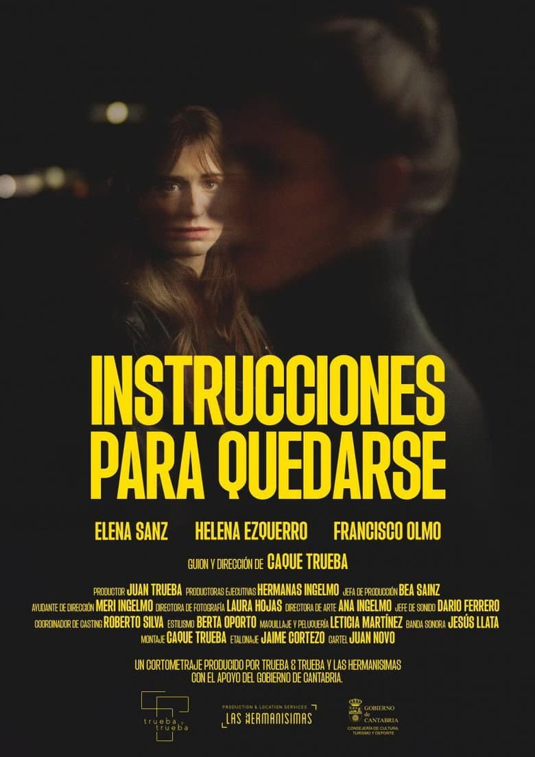 Instrucciones para quedarse poster