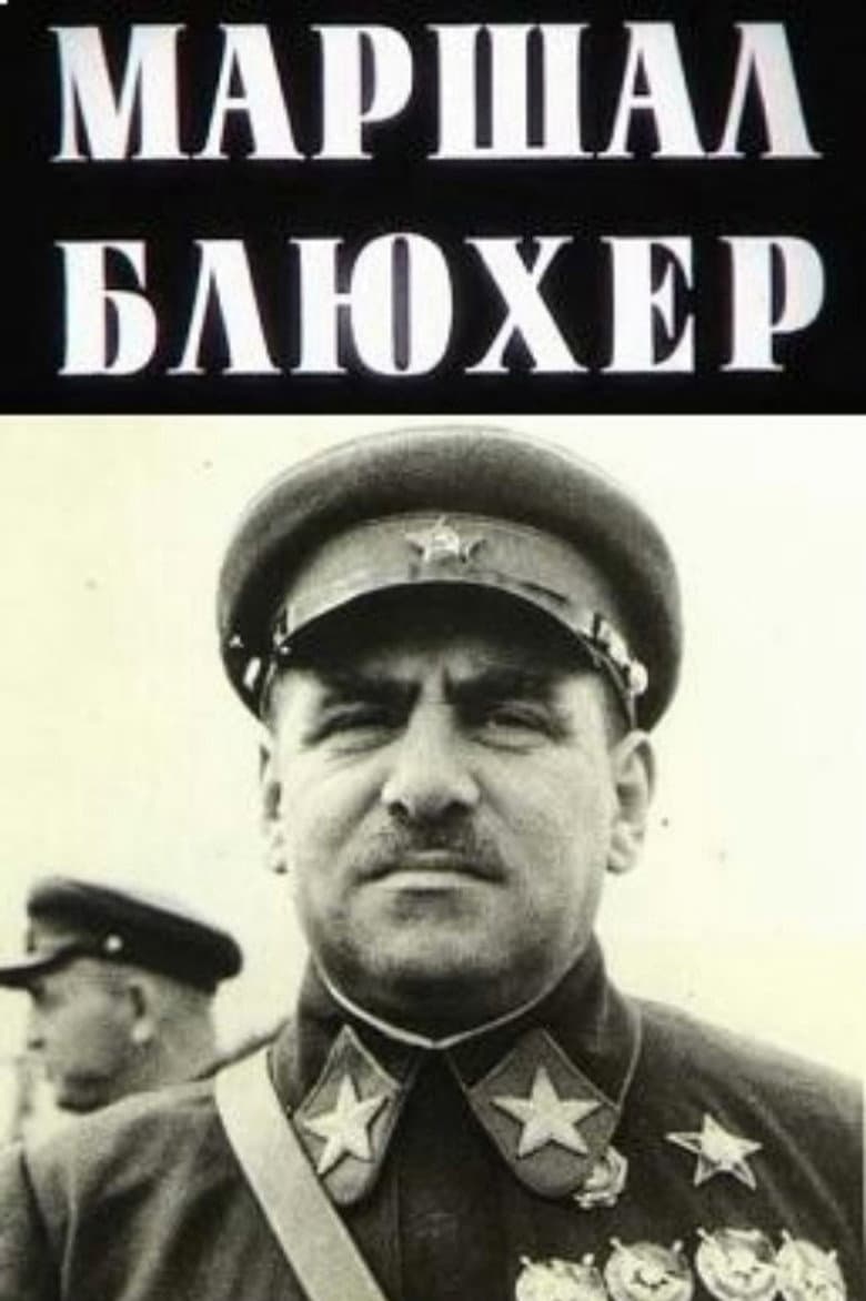 Marshal Blucher: A Portrait Against the Background of an Epoch poster