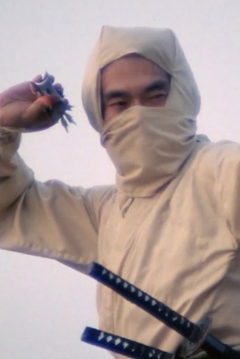 Re-Enter the 'New York Ninja' poster