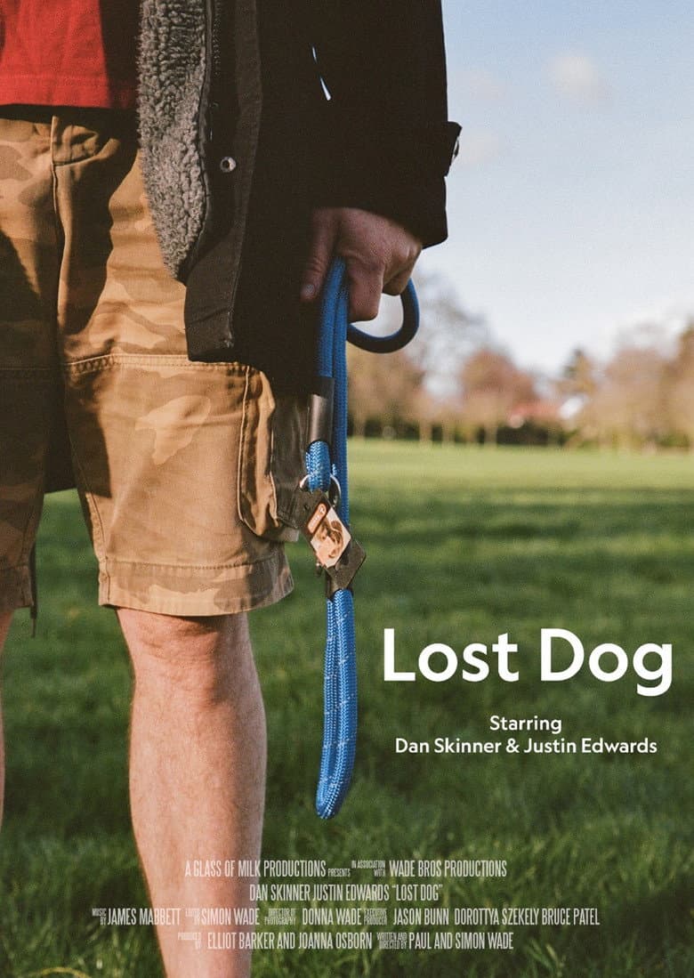 Lost Dog poster