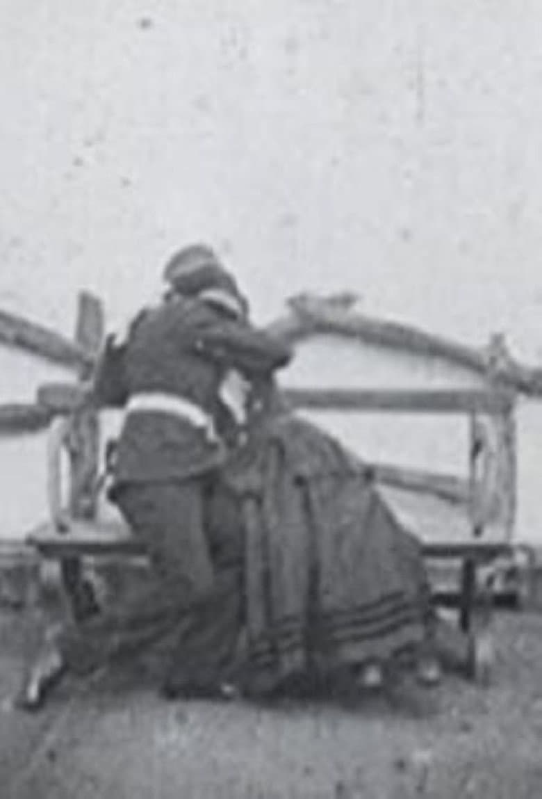 The Soldier's Courtship poster