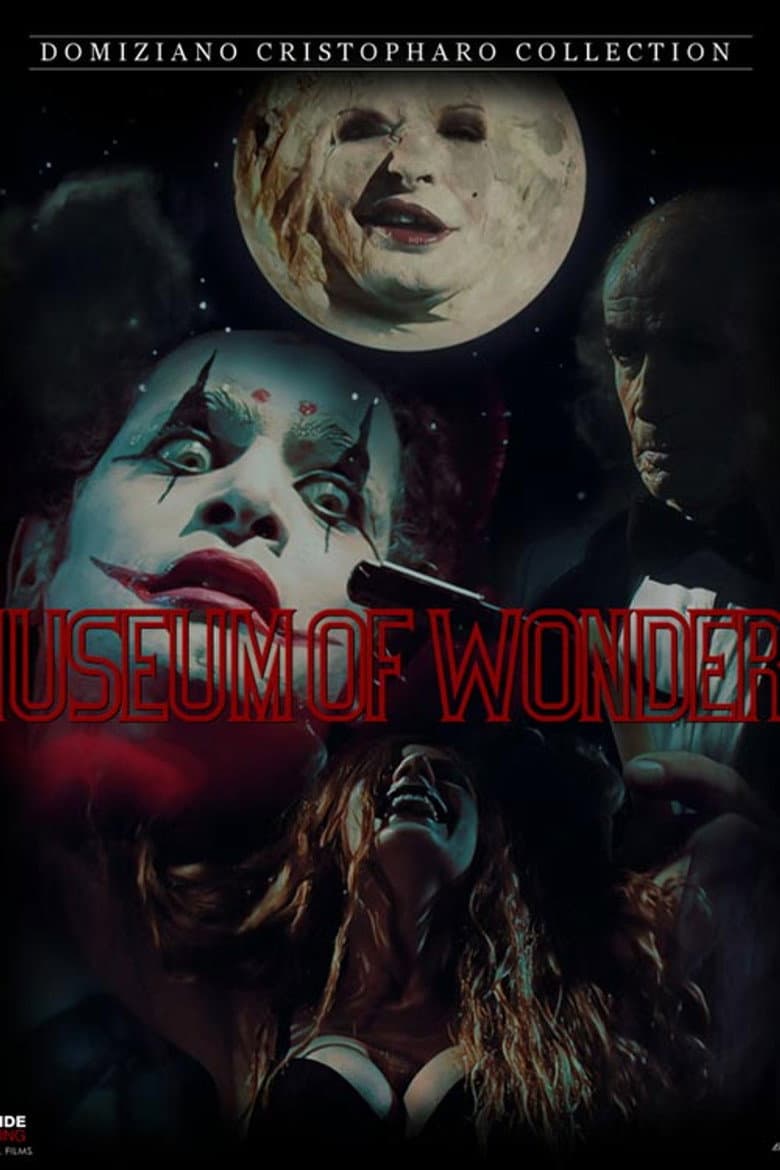 The Museum Of Wonders poster